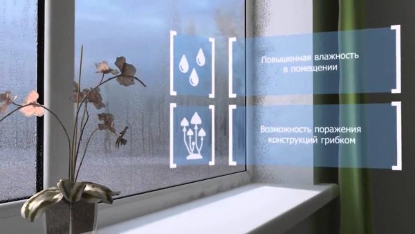 Проветриватель помогает избавиться от повышенной влажности и грибка, притом очень эффективно